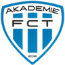 Táborsko II logo