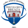 Tricolorul Breaza logo