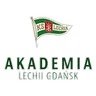 Akademia Piłkarska LG W logo