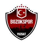 Yozgat Bld Bozokspor logo