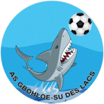 Gbohloé-su des Lacs logo