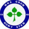 Grom Nowy Staw logo