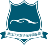 Wuhan Jiangda W logo
