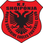 North Sunshine Eagles logo
