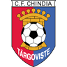 Chindia Targoviste logo