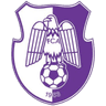 Arges Pitesti logo