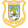 CS Mioveni logo