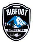 Bigfoot logo