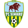 Zimbru II logo