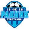 Radnik Surdulica logo