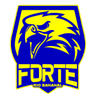 Forte FC logo