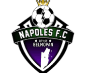 Napoles logo