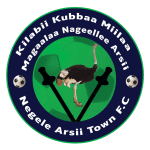 Negelle Arsi logo