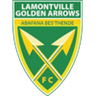 Golden Arrows logo
