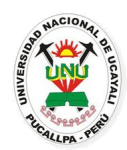 Atlético Nacional de Pucallpa logo