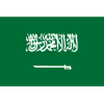 Team Saudi Arabia logo