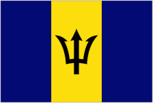 Barbados U17 W logo