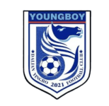 Dalian Yingbo B logo