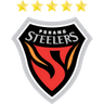 Pohang Steelers logo