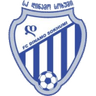 Dinamo Sokhumi logo
