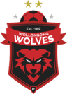 Wollongong Wolves U20 logo