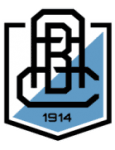 Branik logo