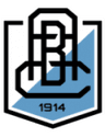 Branik logo