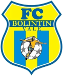 Bolintin Vale logo