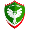 Amed logo