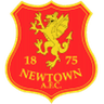 Newtown AFC logo