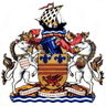 Barry Town logo
