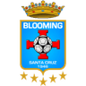 Blooming logo