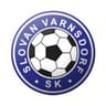 Varnsdorf logo