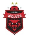 Wollongong Wolves logo