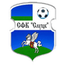 FC Slutsk logo