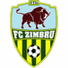 Zimbru logo