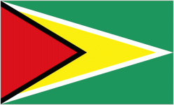 Guyana logo