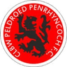 Penrhyncoch logo