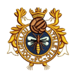 Dolgellau Athletic logo