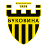 Bukovyna logo