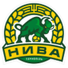 Nyva Ternopil logo