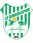 12 Bingölspor logo