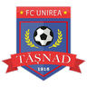 Unirea Tășnad logo