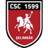 Viitorul Şelimbăr logo