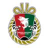 Kochi United logo