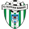 Bzenec logo