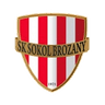 Sokol Brozany logo
