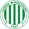 Sokol Hostouň logo