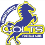 Cumbernauld Colts logo