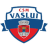 CSM FC Vaslui logo
